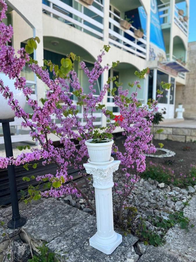 Хотел Диамант Hotel Diamond Balcsik Kültér fotó