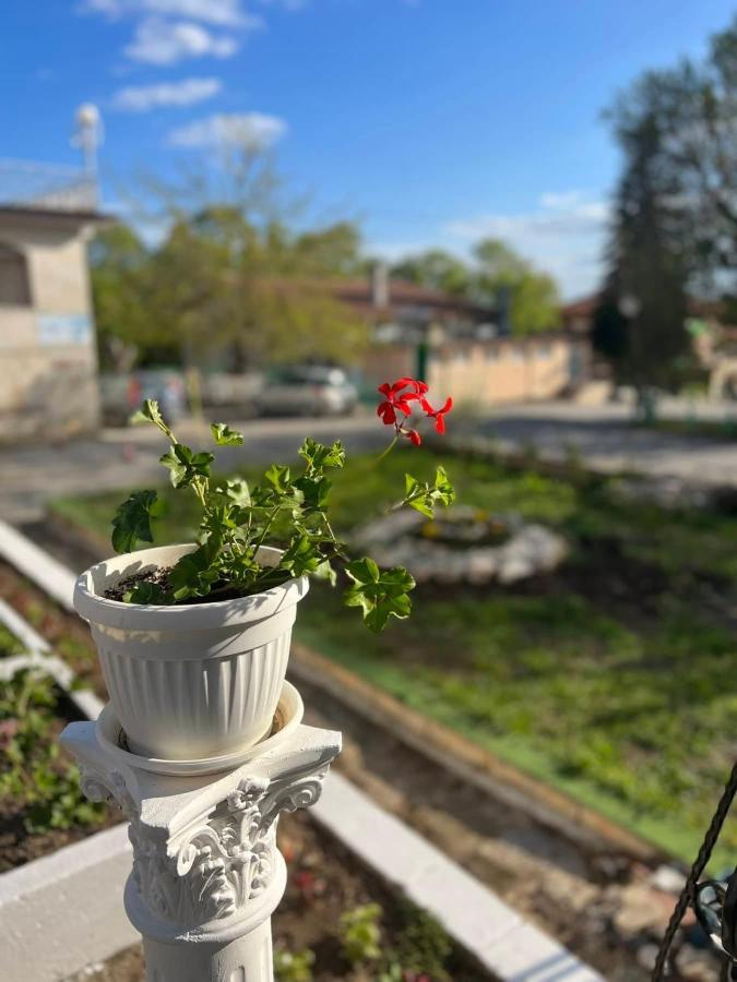 Хотел Диамант Hotel Diamond Balcsik Kültér fotó
